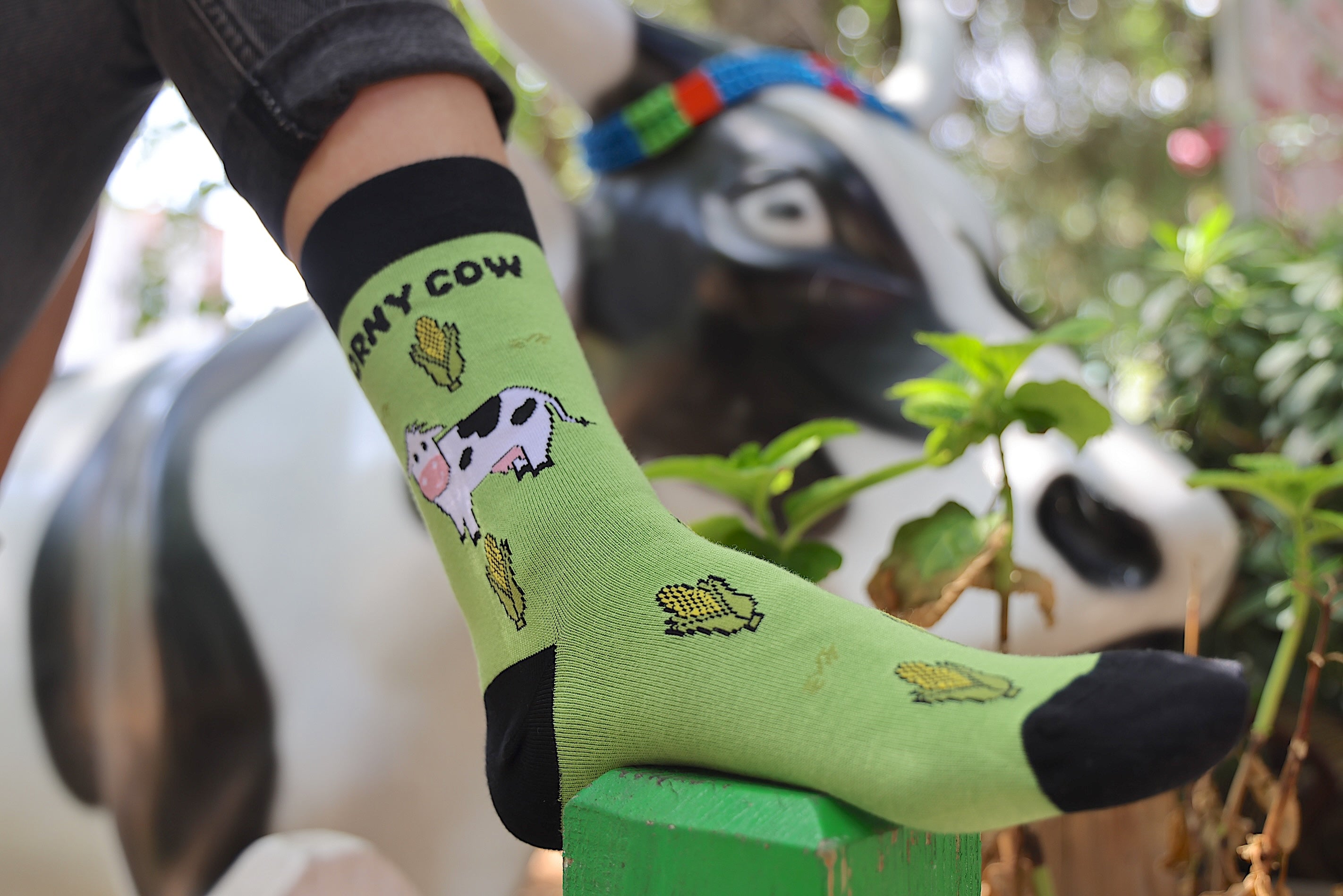 Corny Cow Bamboo Socks for Women