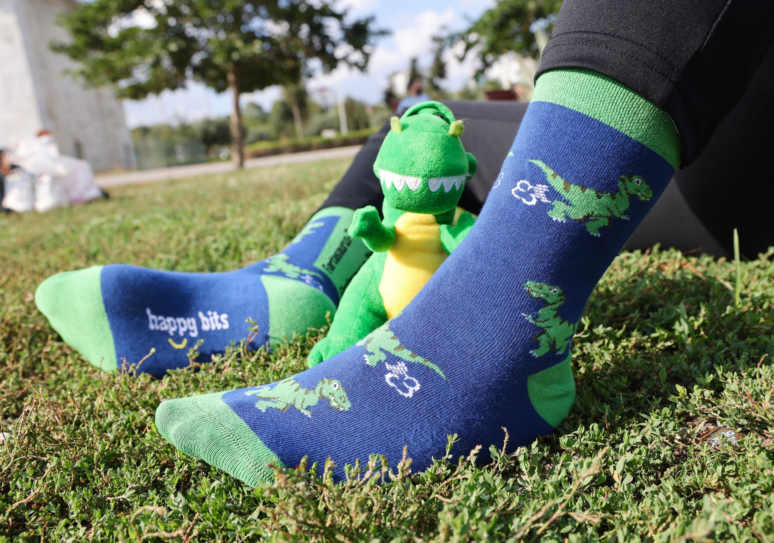 Fartasaurus-Rex Bamboo Socks